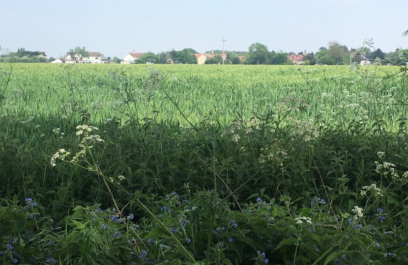 A field in Hornchurch & Upminster